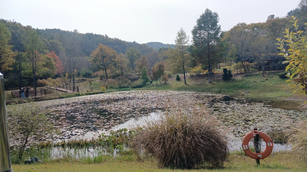 Post image 5