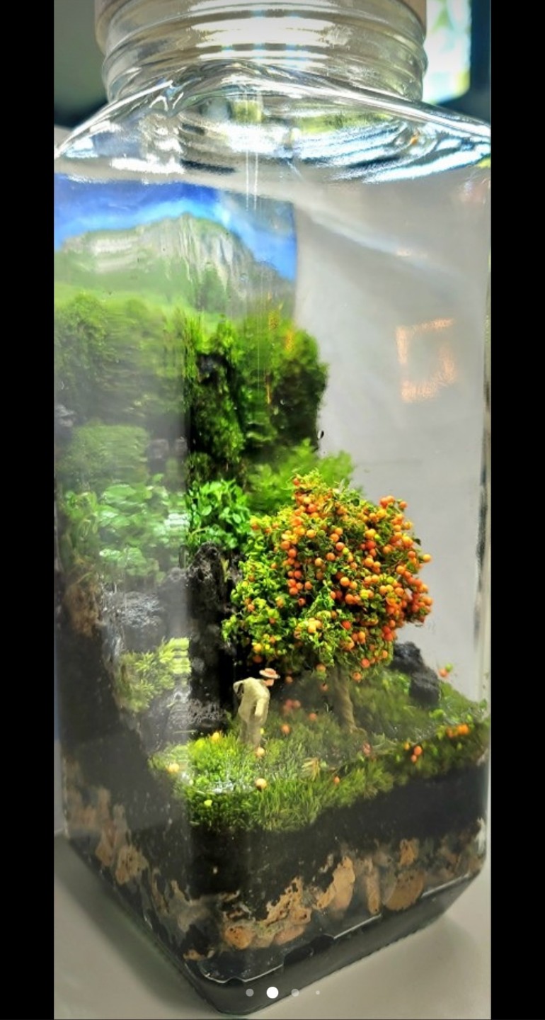 Post image 5
