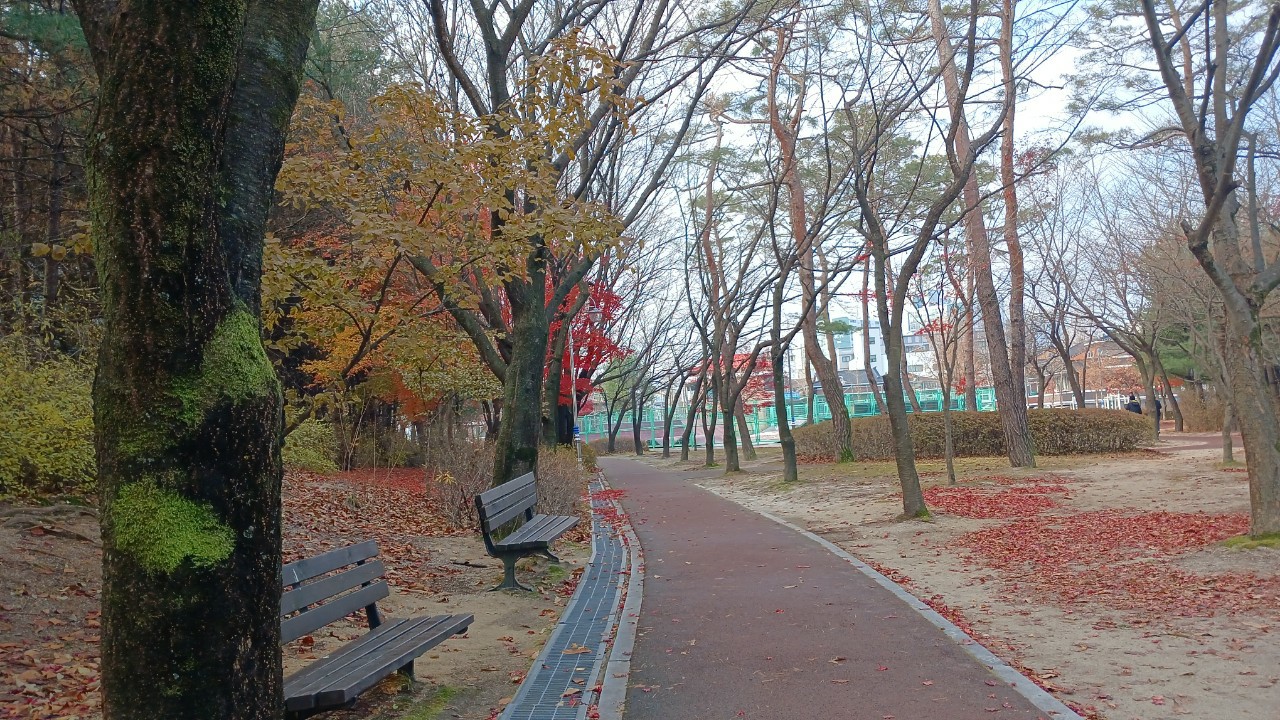Post image 5