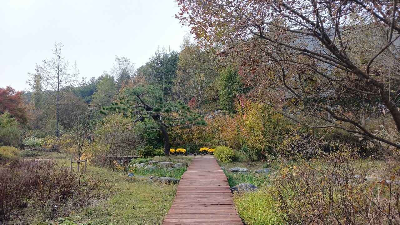 Post image 7