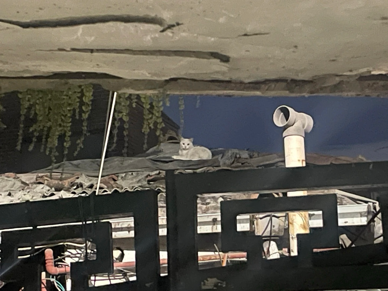 Post image 14