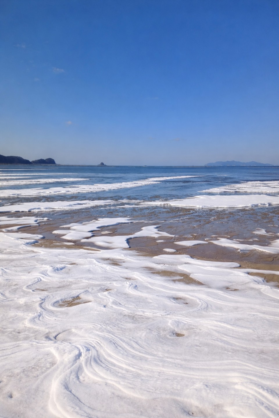 제 생일입니다~