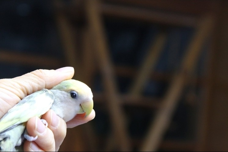 안녕하세요! 가입인사드립니다