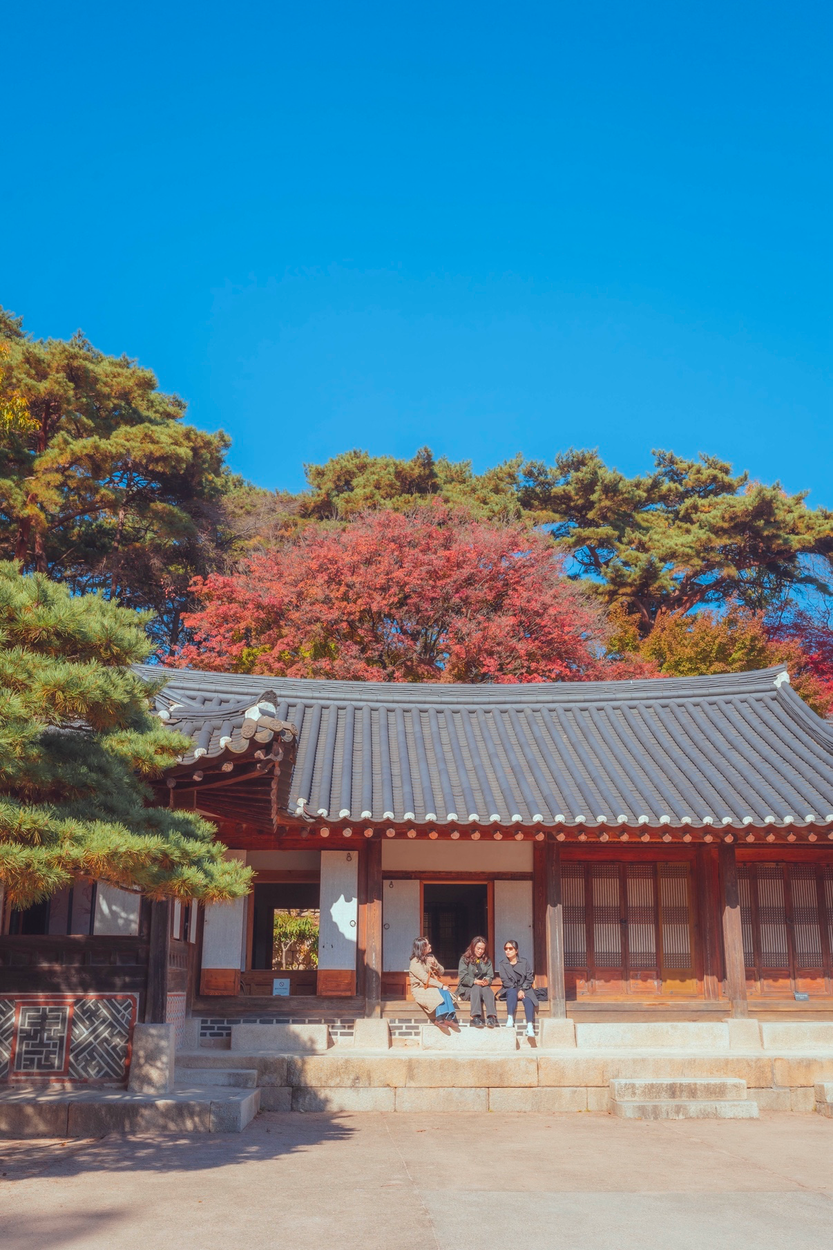 Post image 5