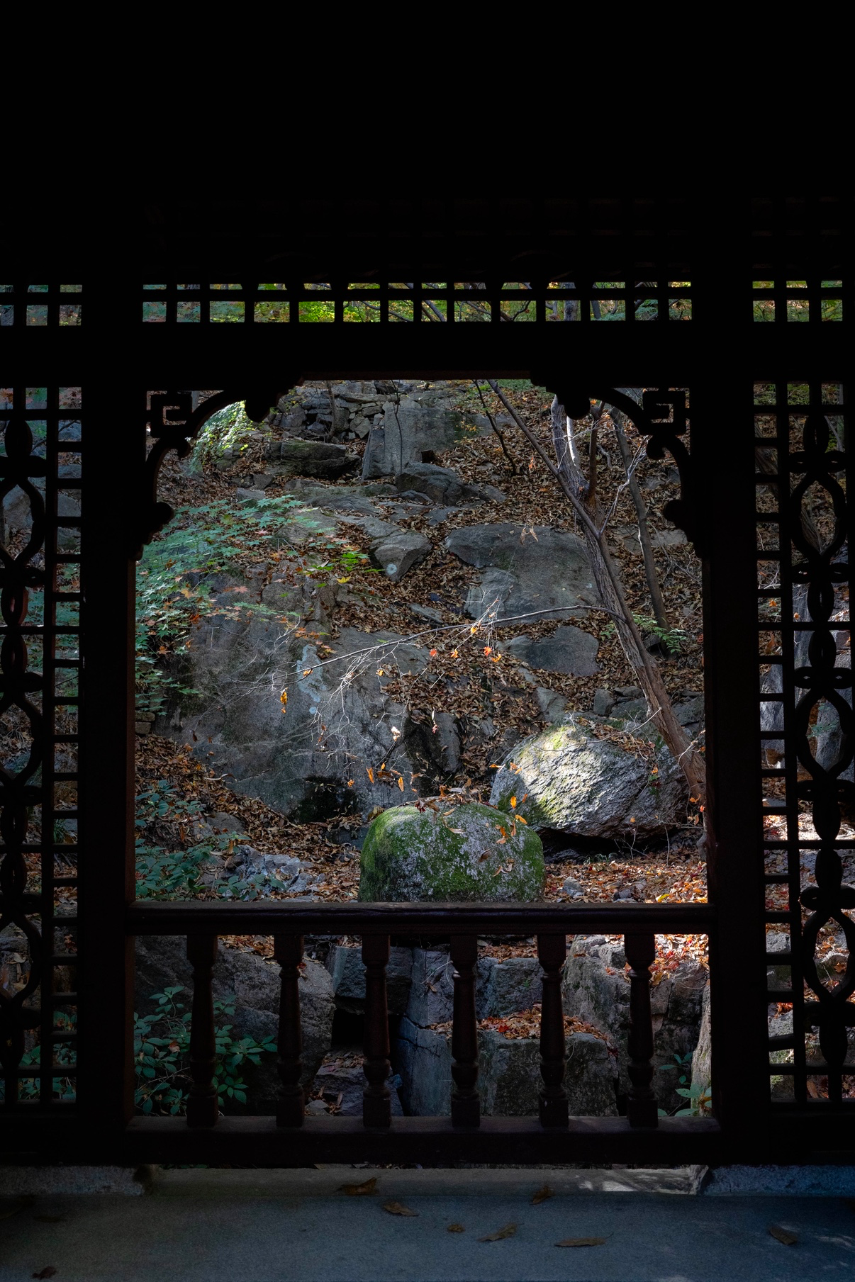 Post image 6