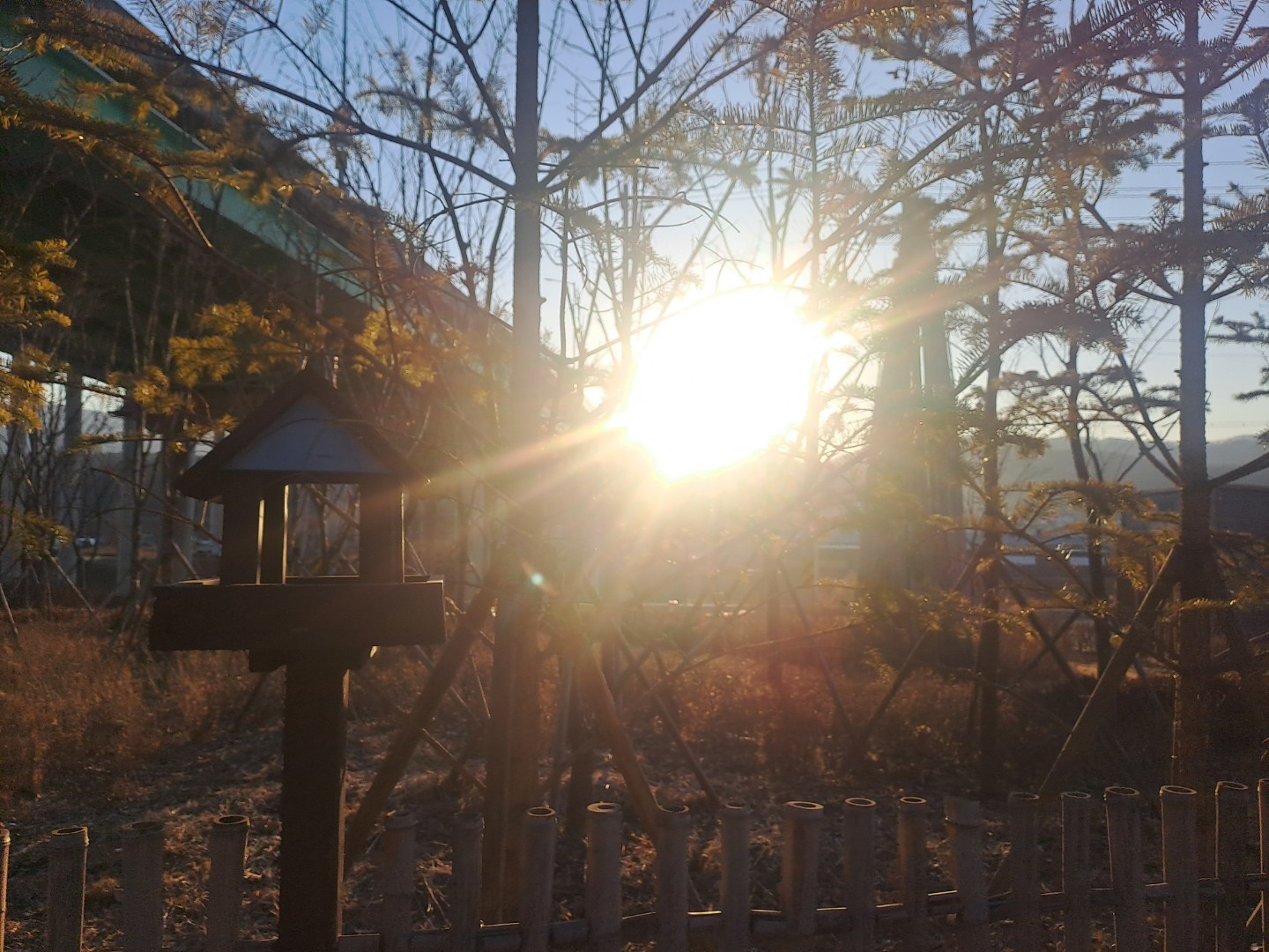 Post image 14