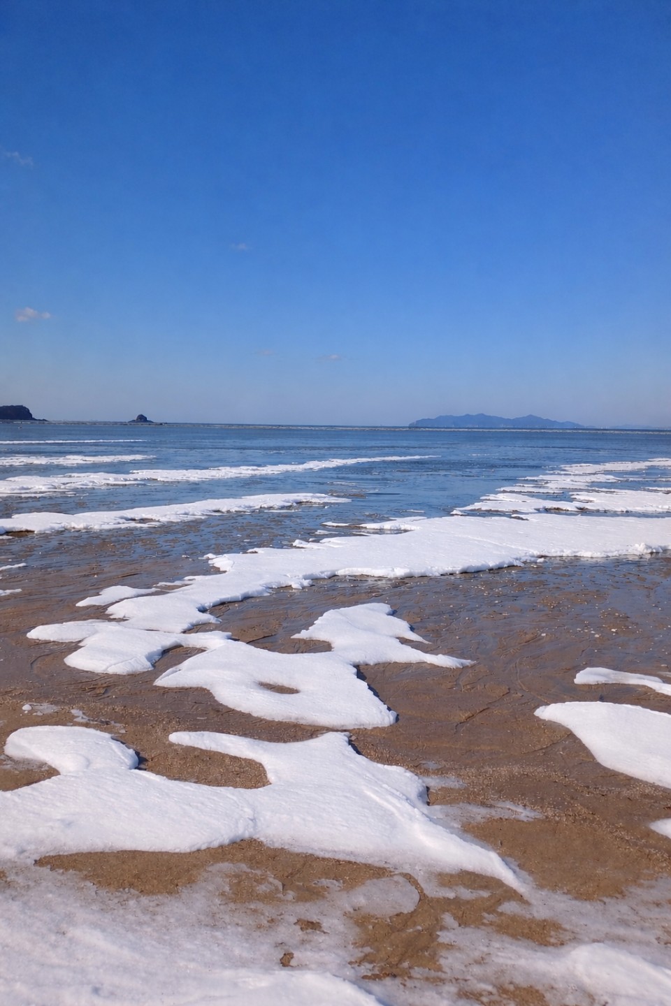 제 생일입니다~