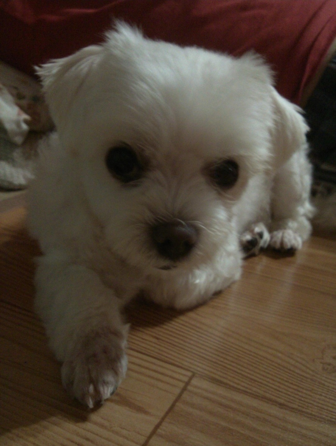 오늘 따라 정말 보고싶다