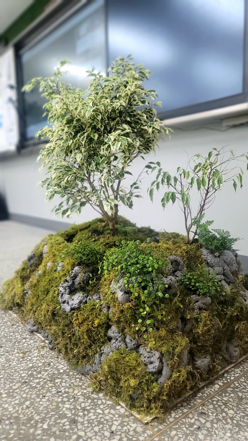 Post image 6