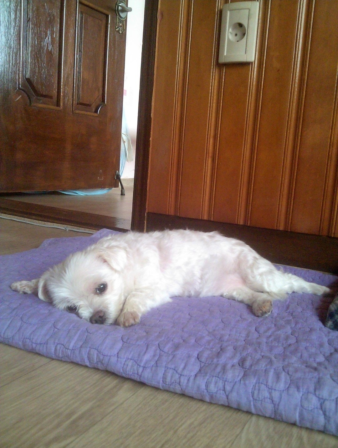 오늘 따라 정말 보고싶다