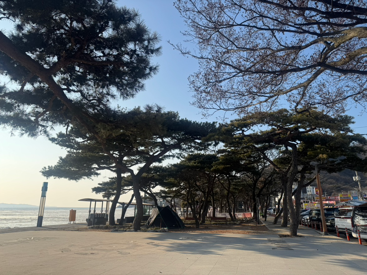 동막해수욕장