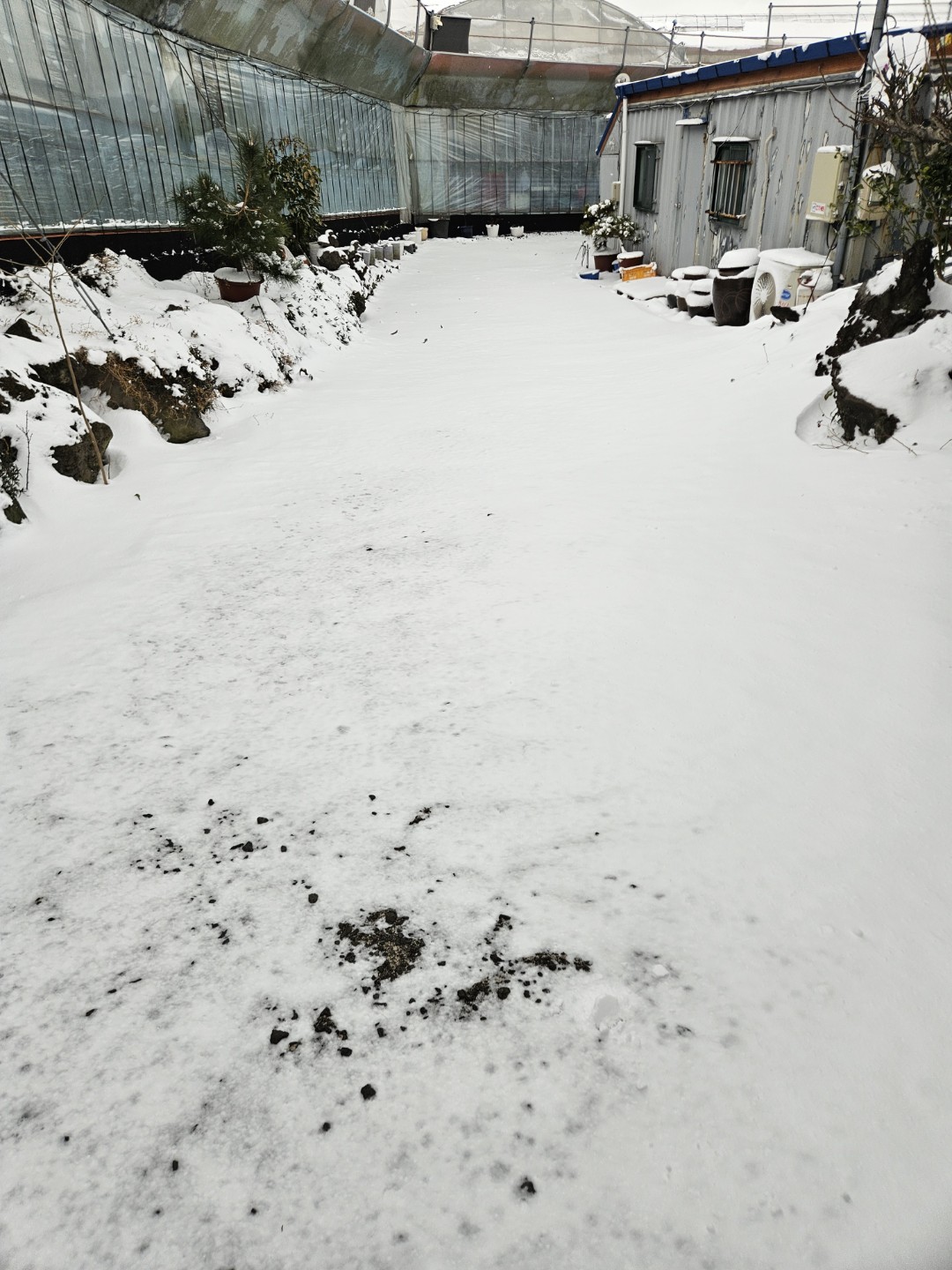 Post image 6