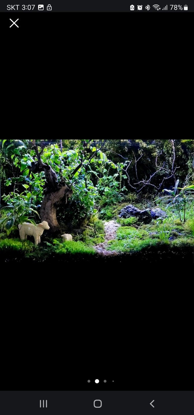 Post image 5