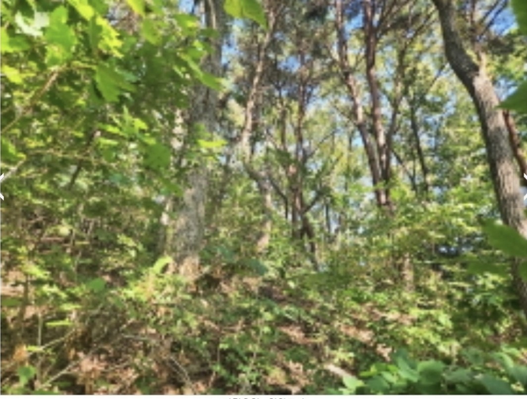 Post image 4
