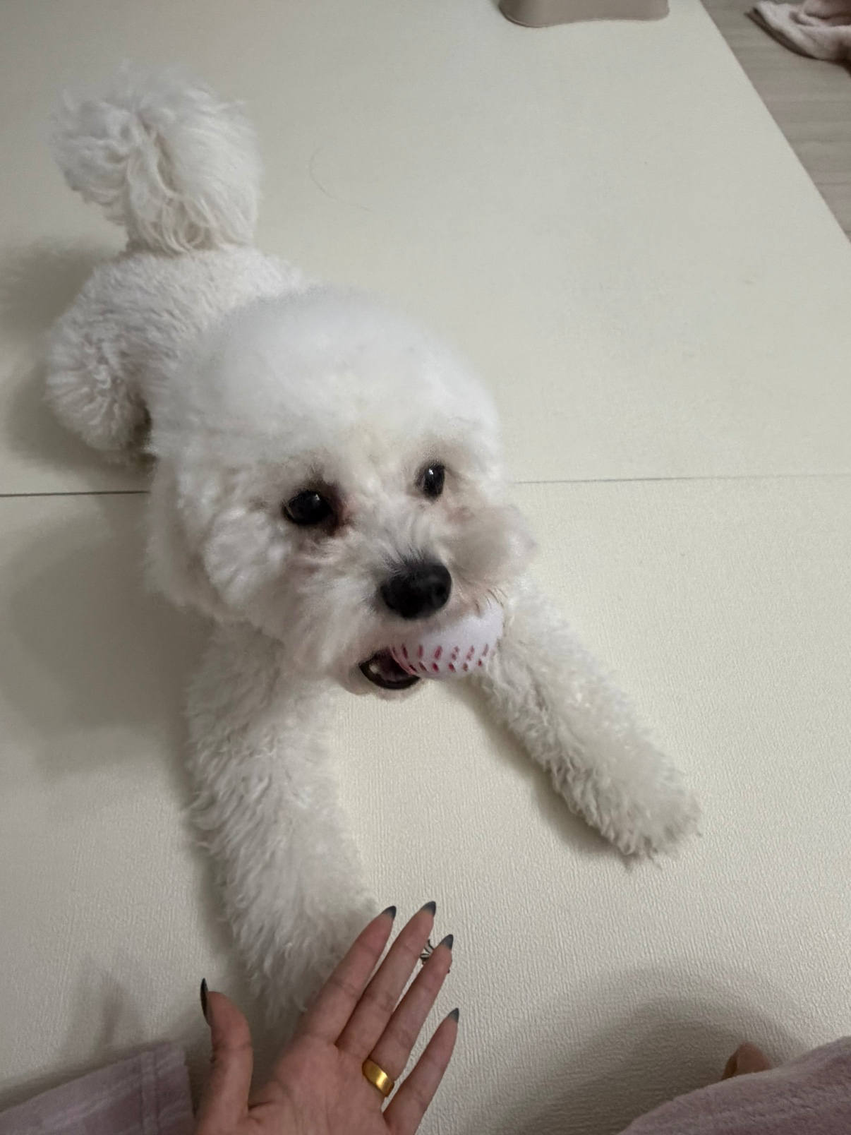 저랑 남친이랑 같이 놀아줄때용