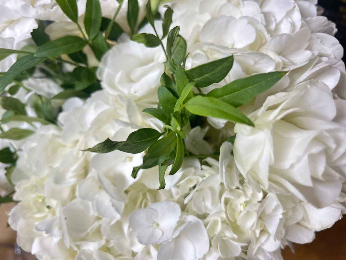 ☘️오늘, 나에게 건네는 따스한 칭찬 한마디는?☘️