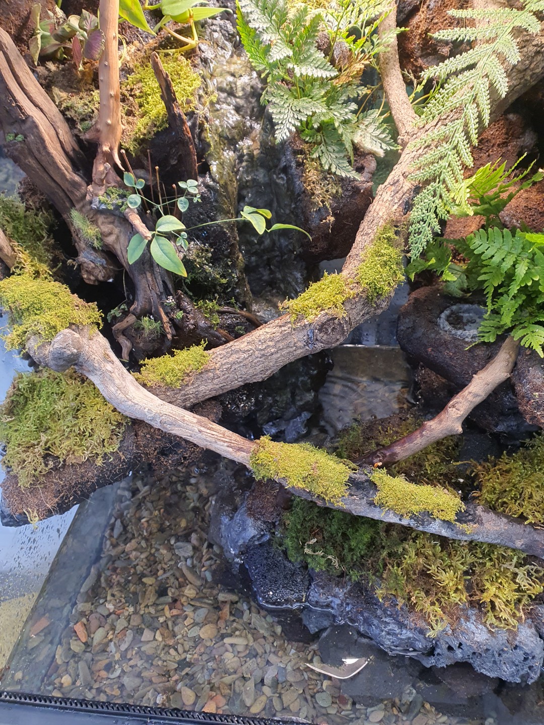 Post image 7