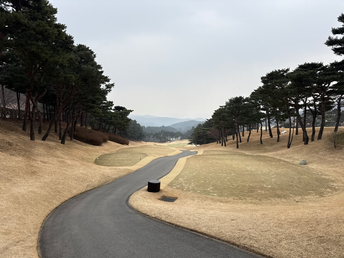 Post image 5