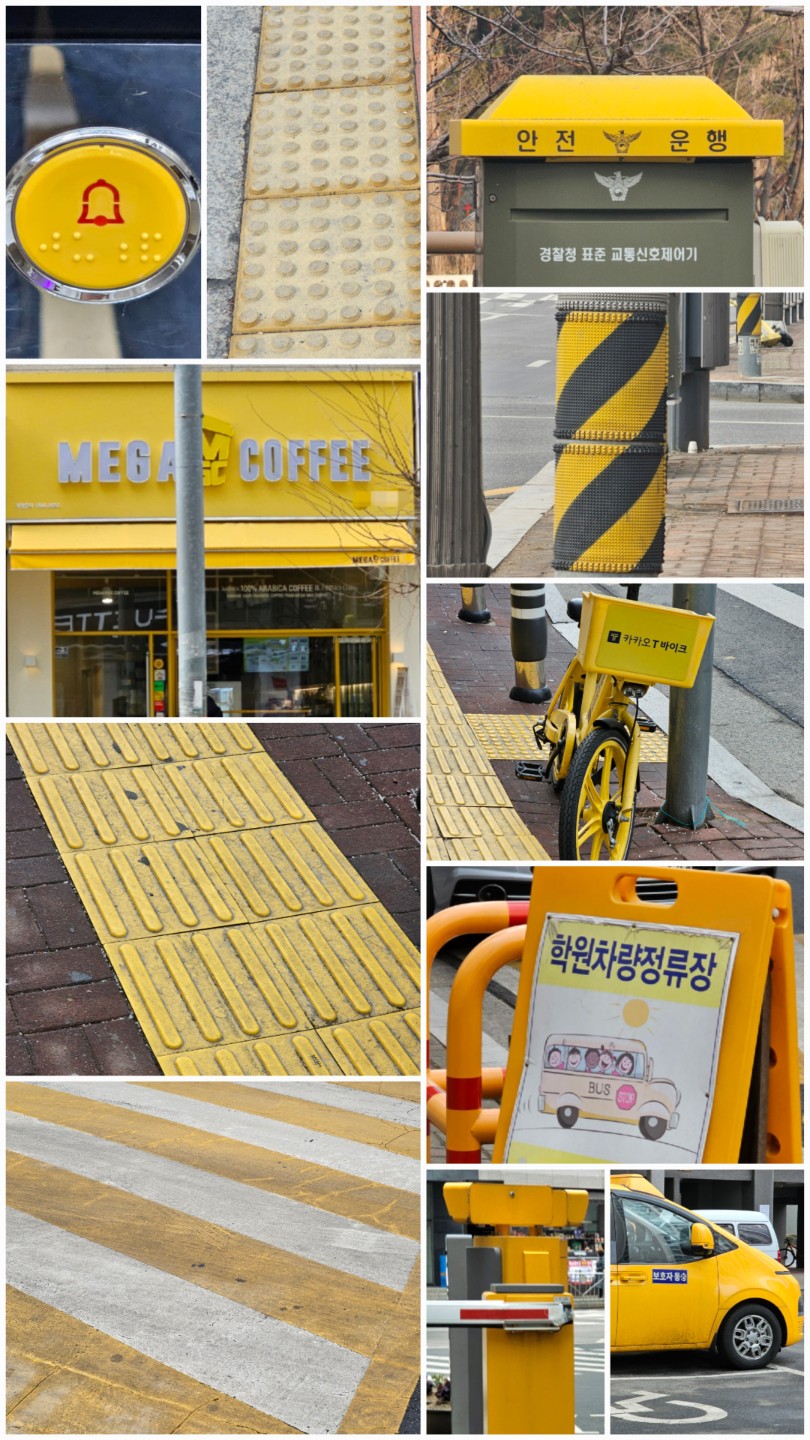 260212 오늘의 컬러🎨노랑