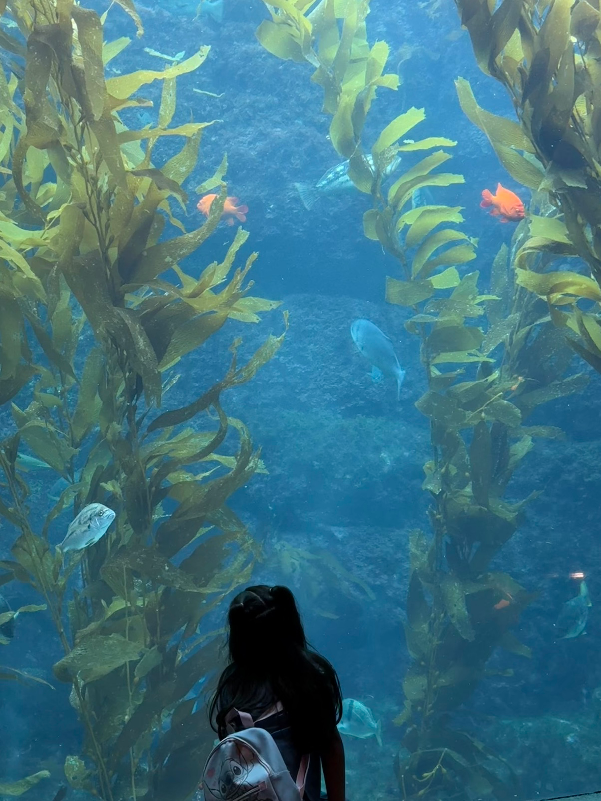 샌디아고 아쿠아리움이 너무 좋았어요^*