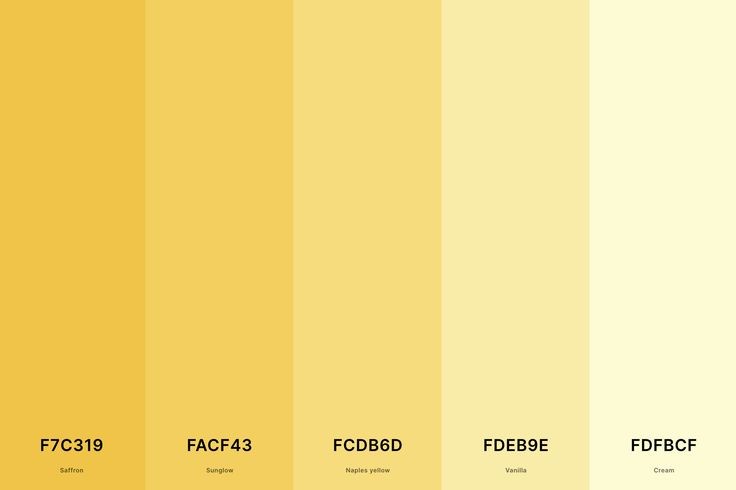 260212 오늘의 컬러🎨노랑