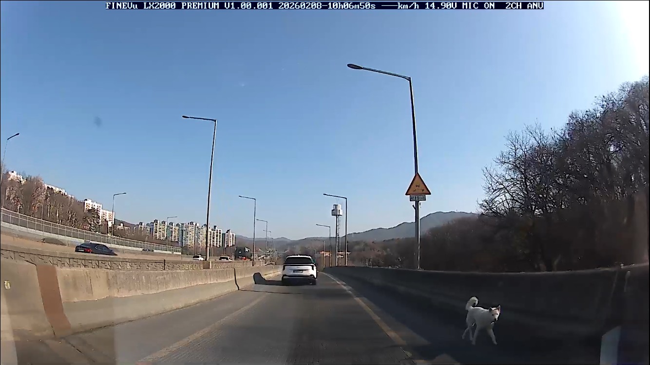 -푸리 찾았습니다-