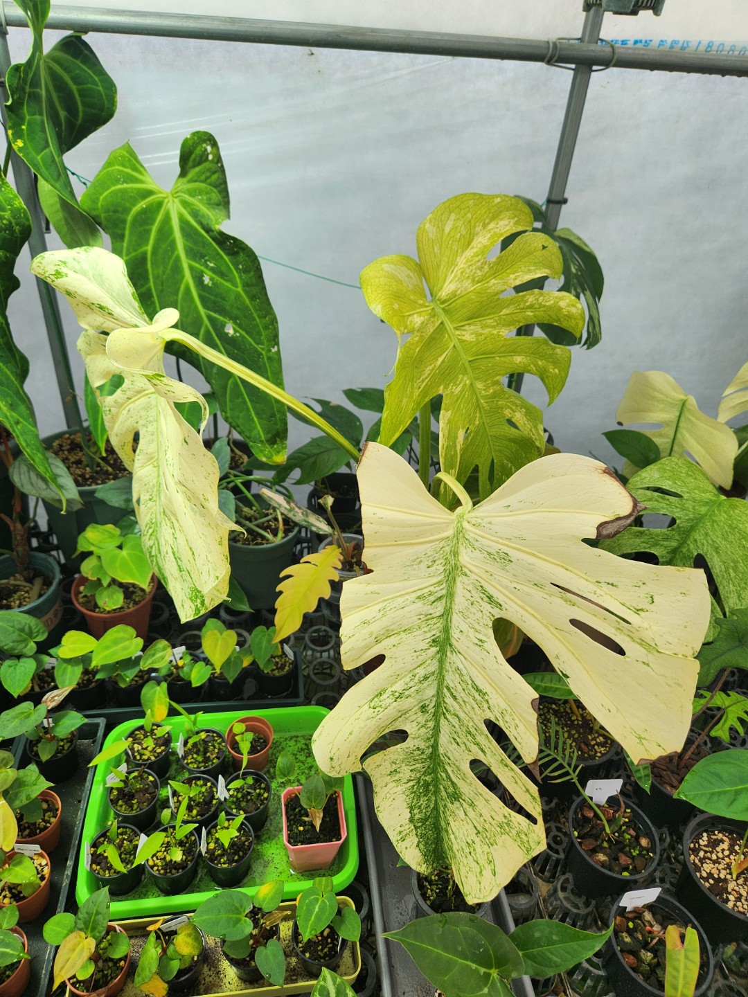 Post image 3