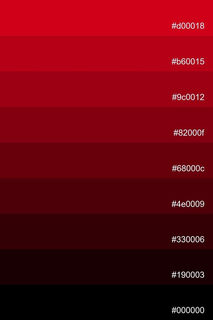 260213 오늘의 컬러🎨빨강