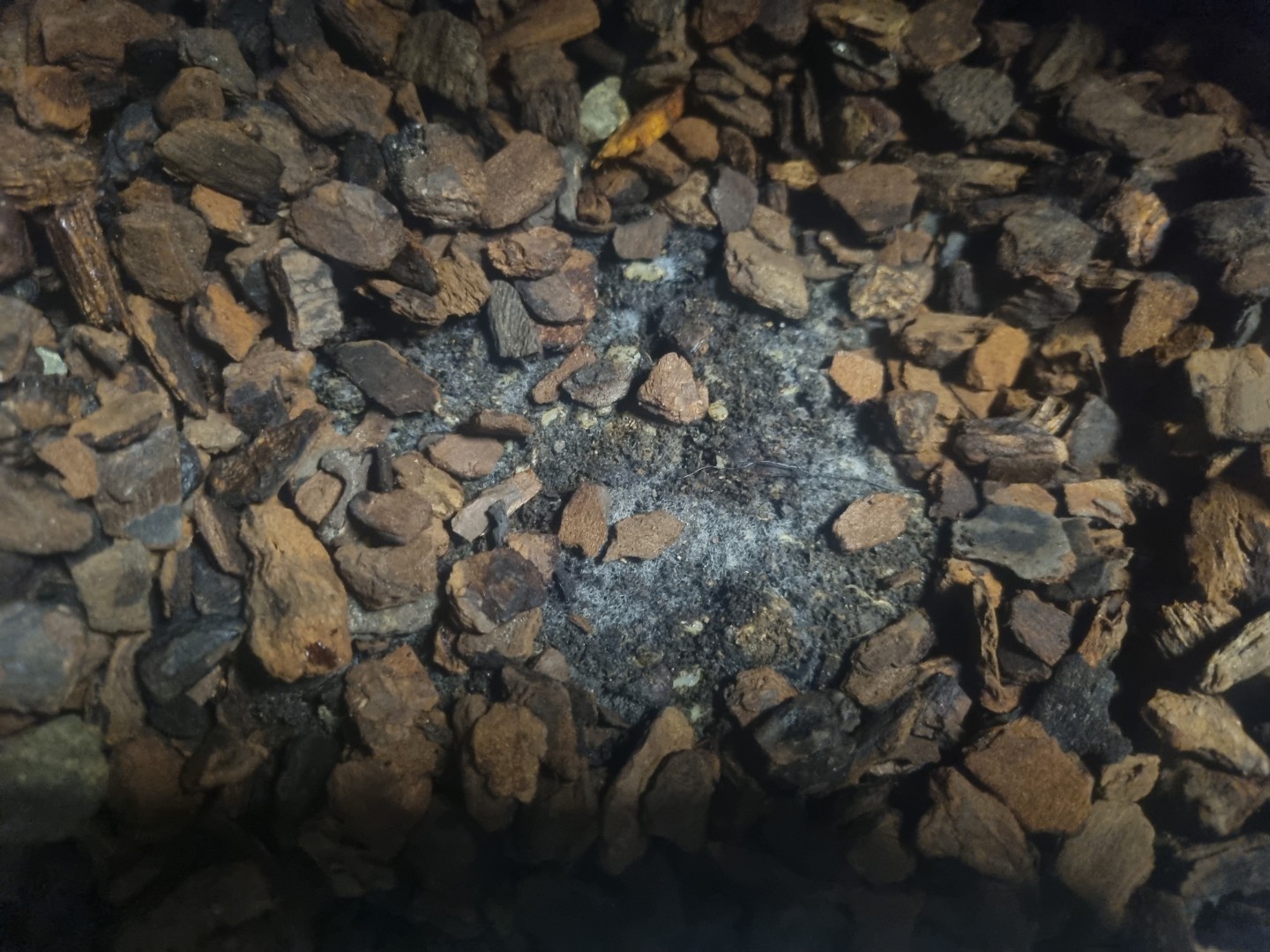 휴머스 흙 만들고 있어요