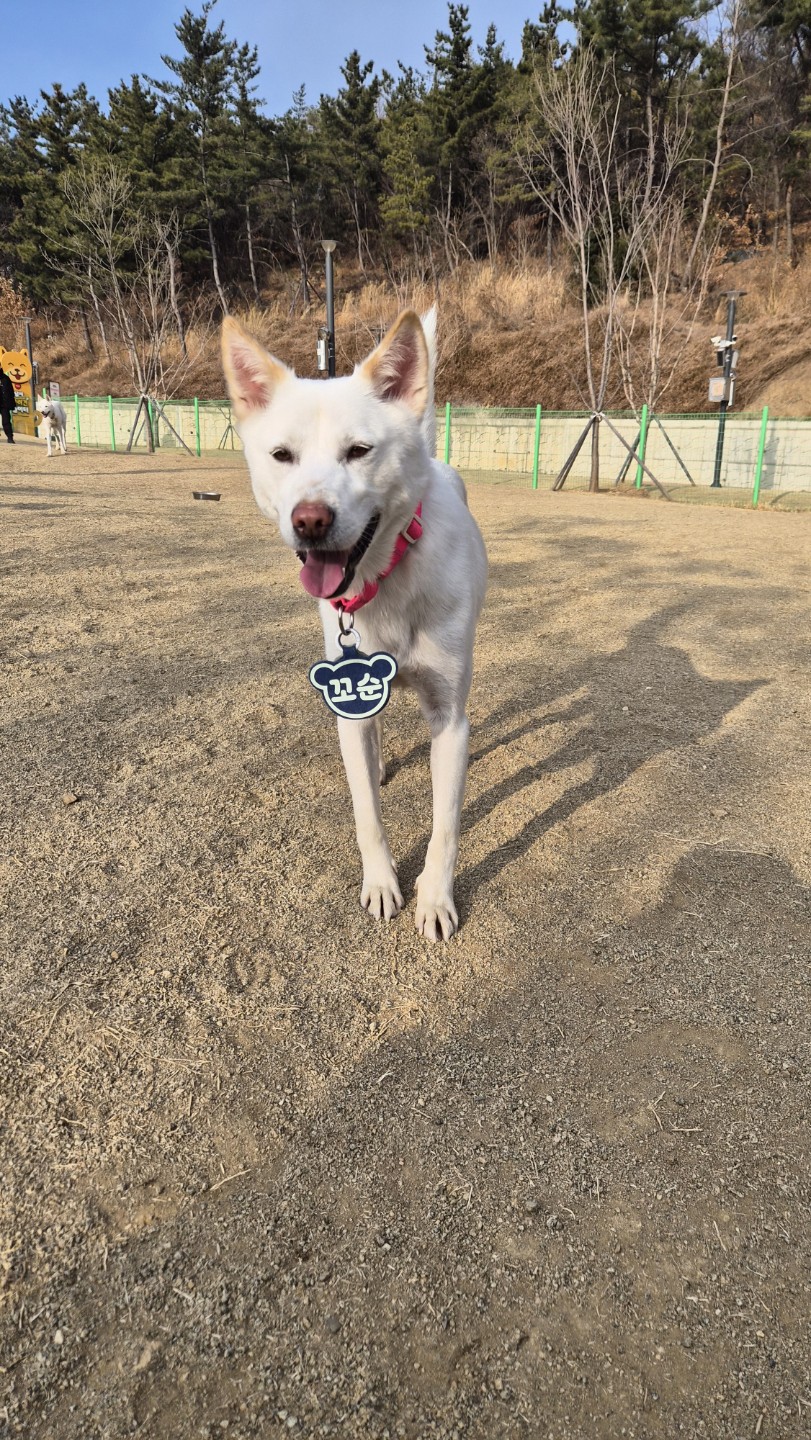 가족을 찾고있어요🤍