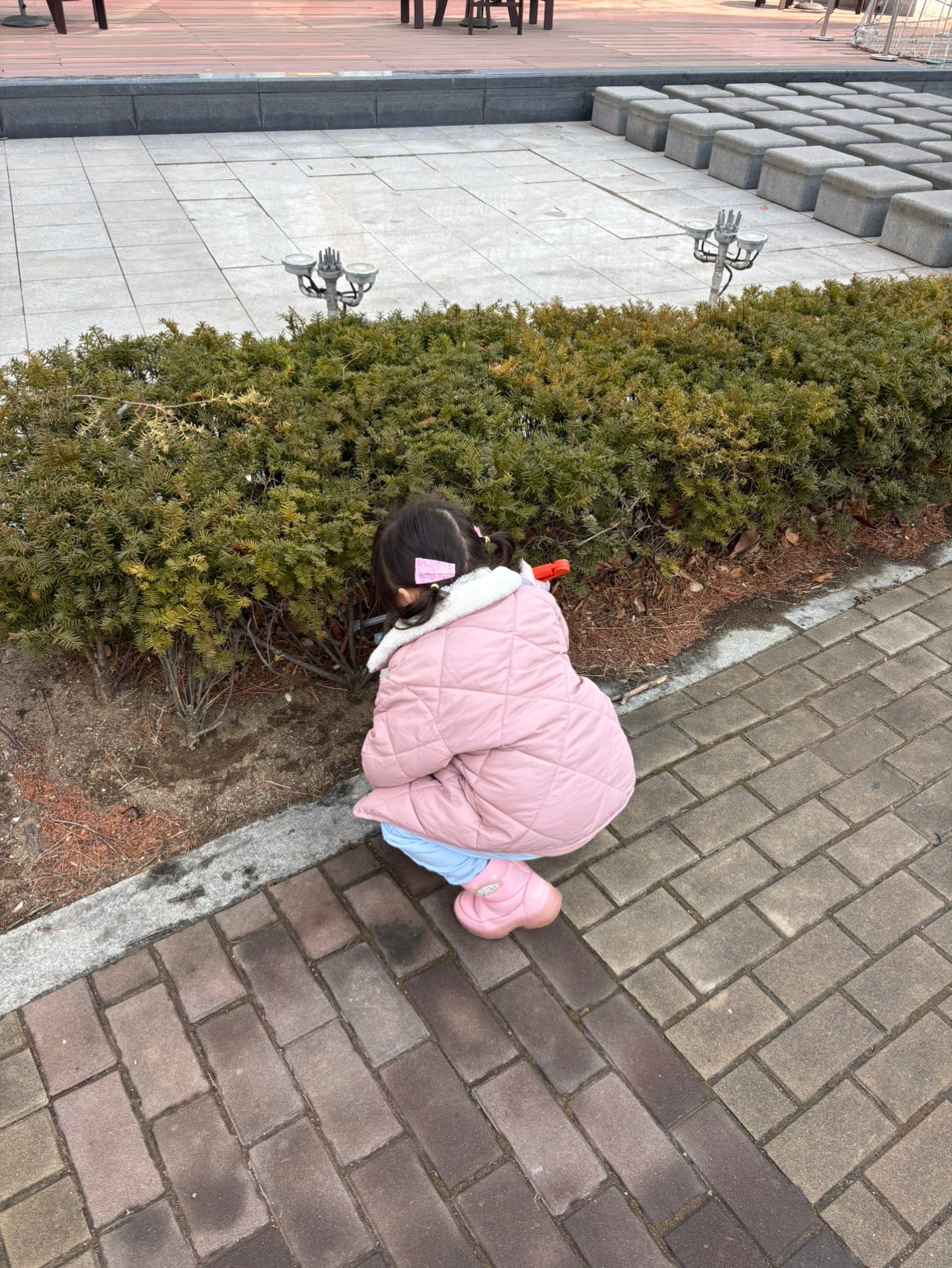 Post image 13
