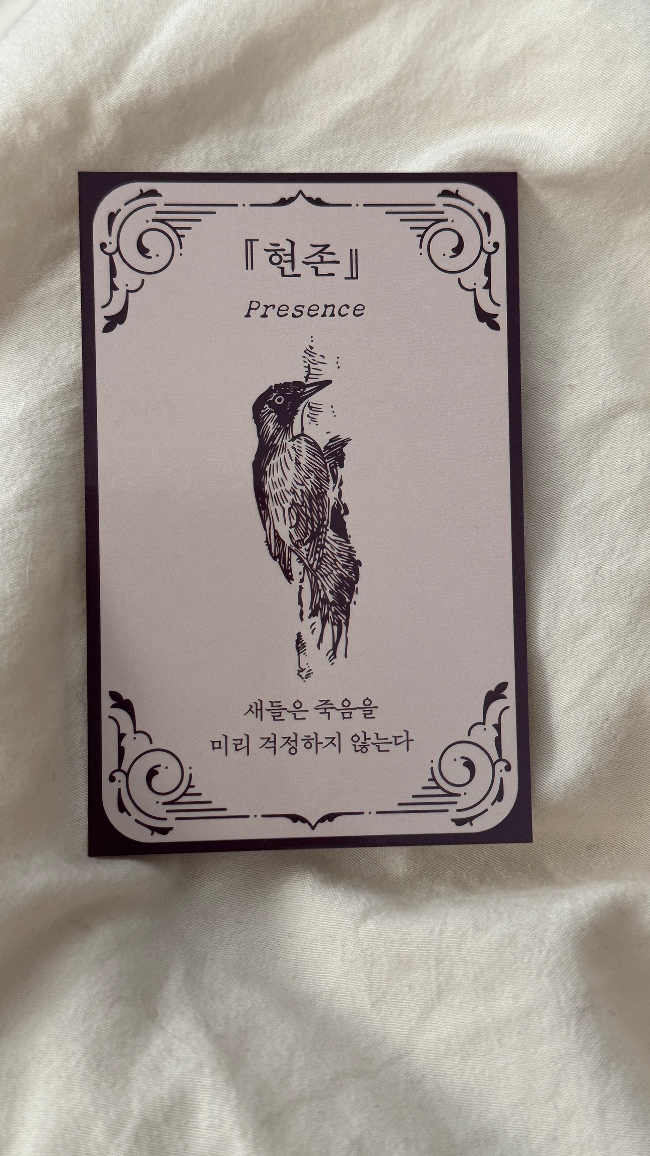 새들이 전하는 짧은 철학