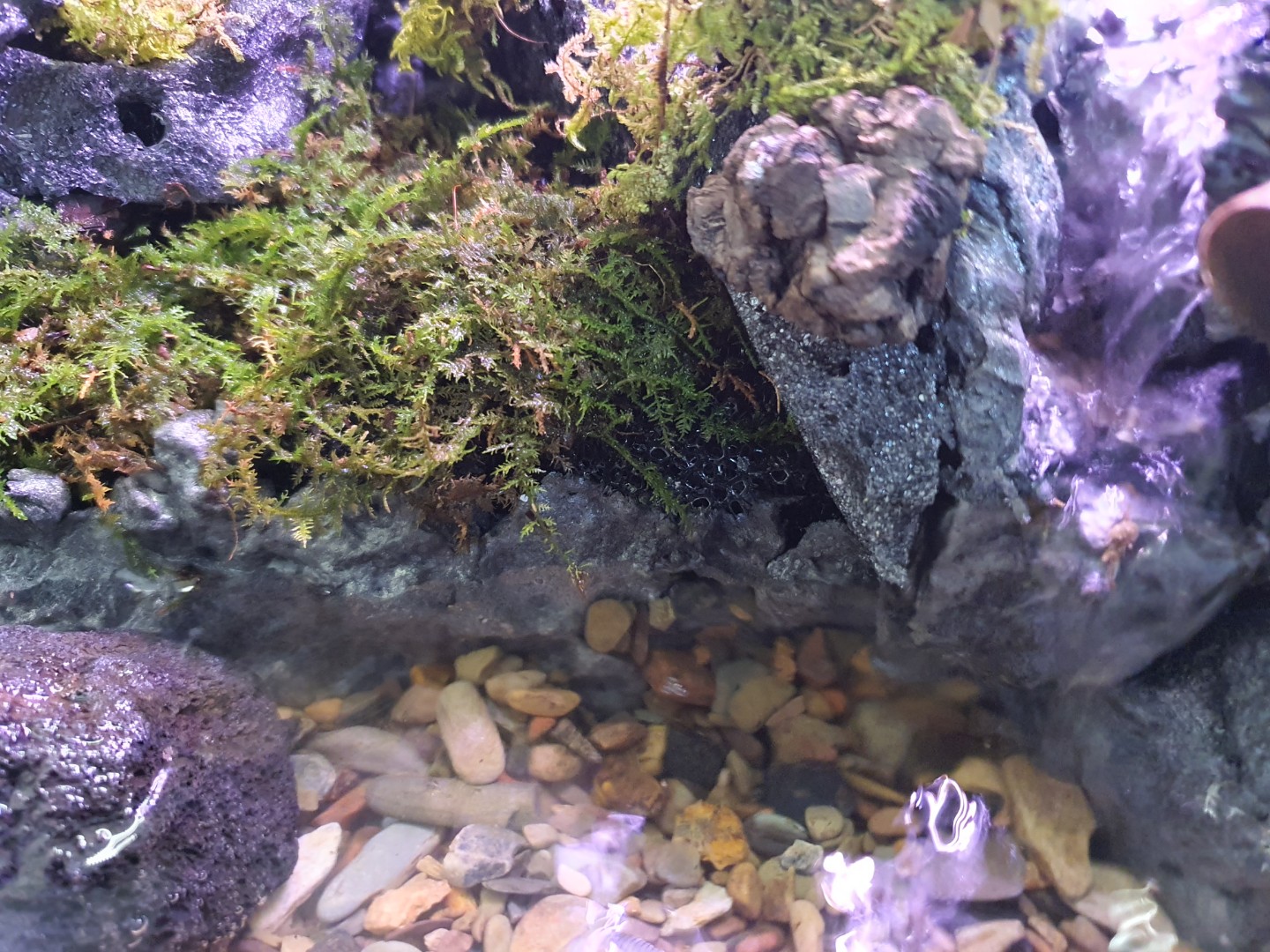 Post image 11