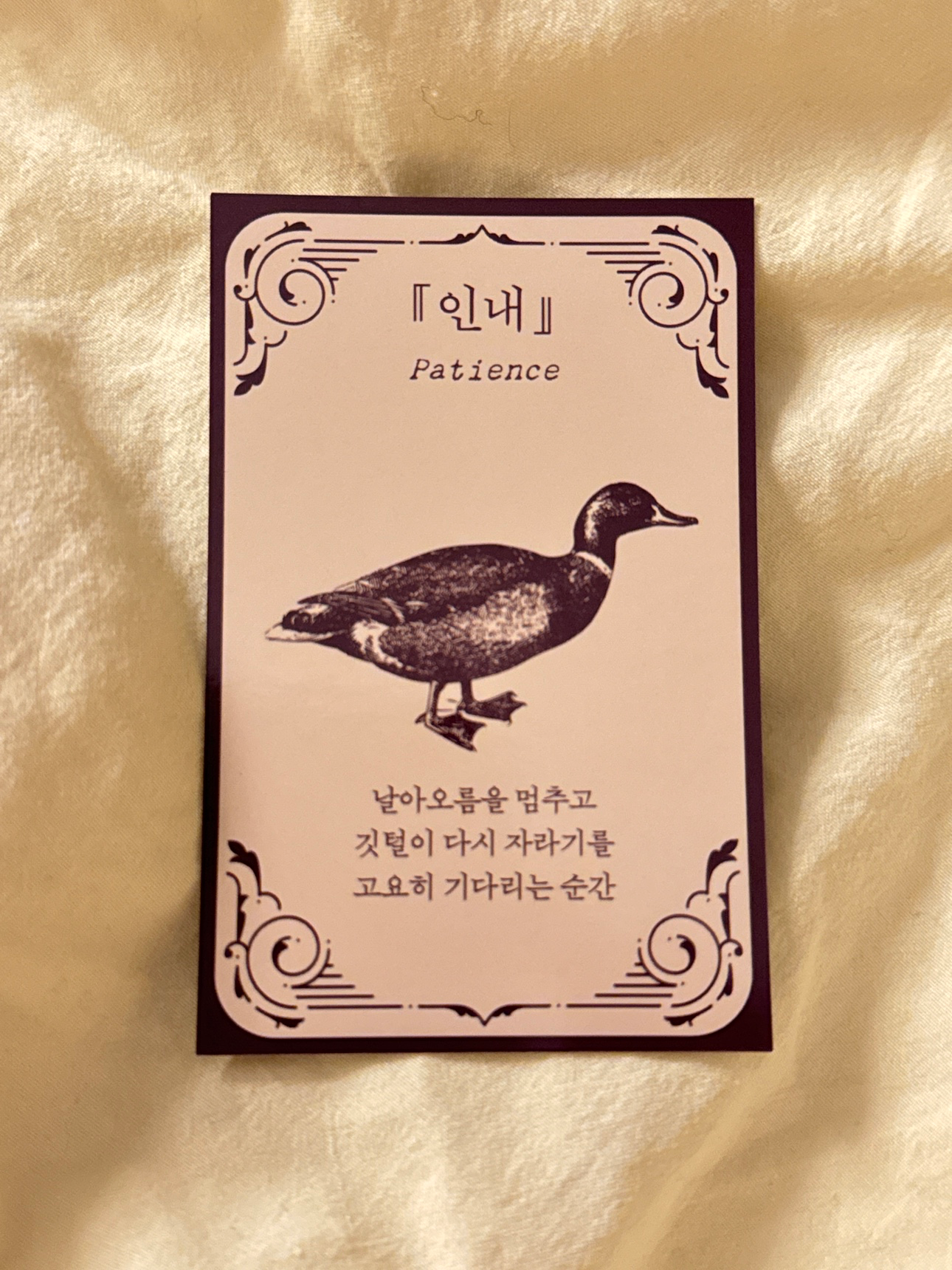 새들이 전하는 짧은 철학