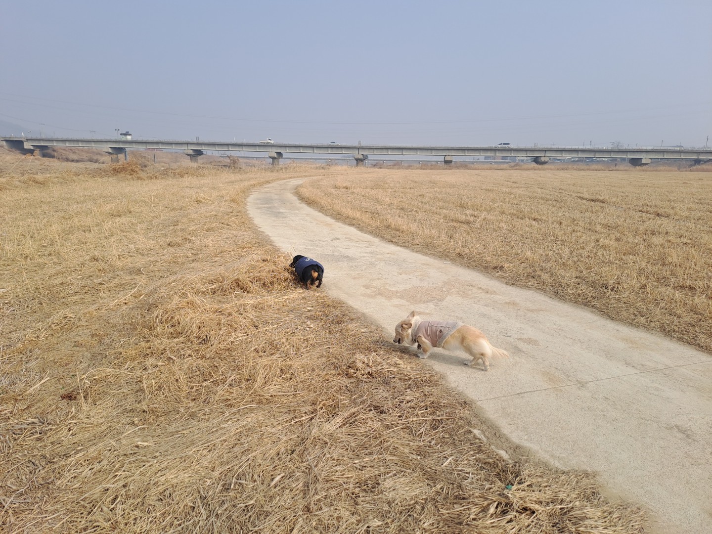 Post image 7