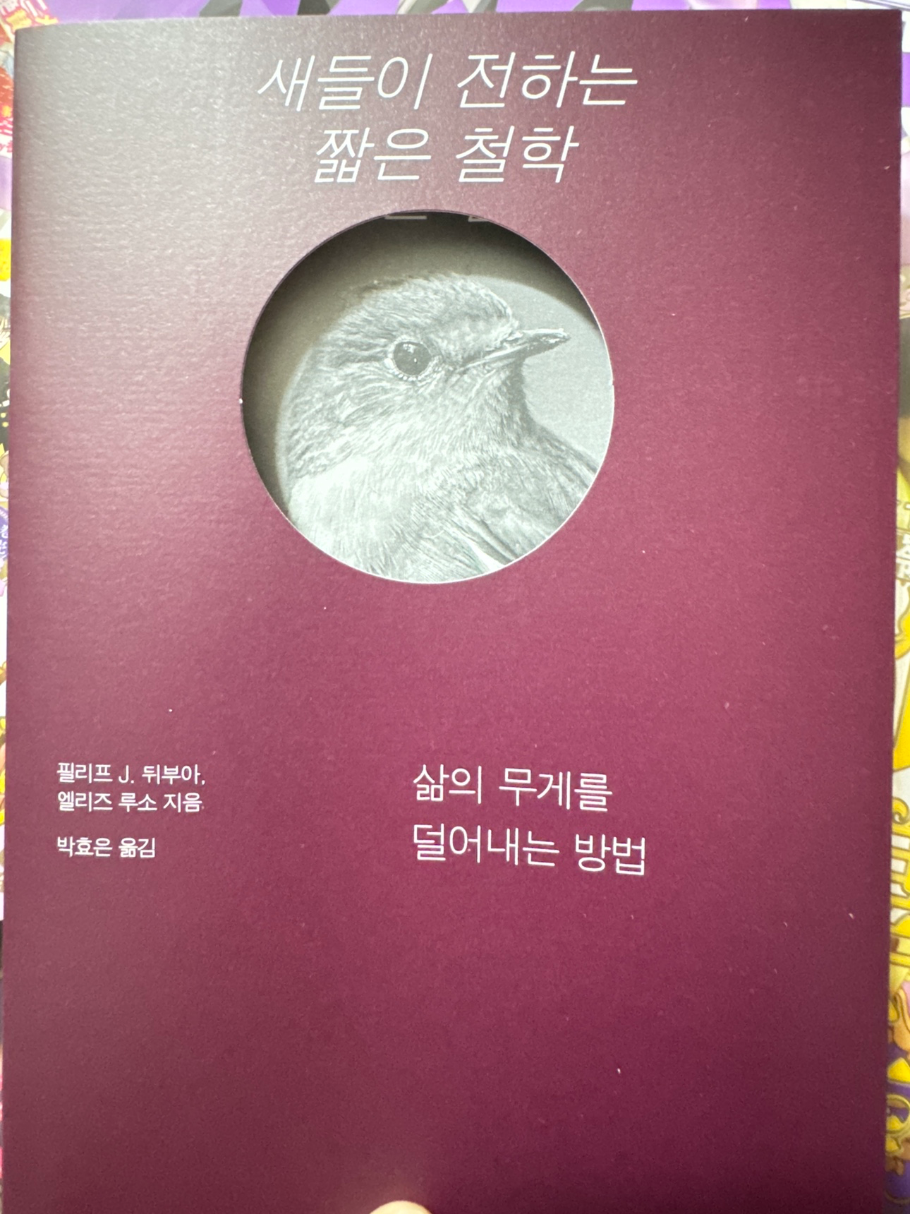 새들이 전하는 짧은 철학