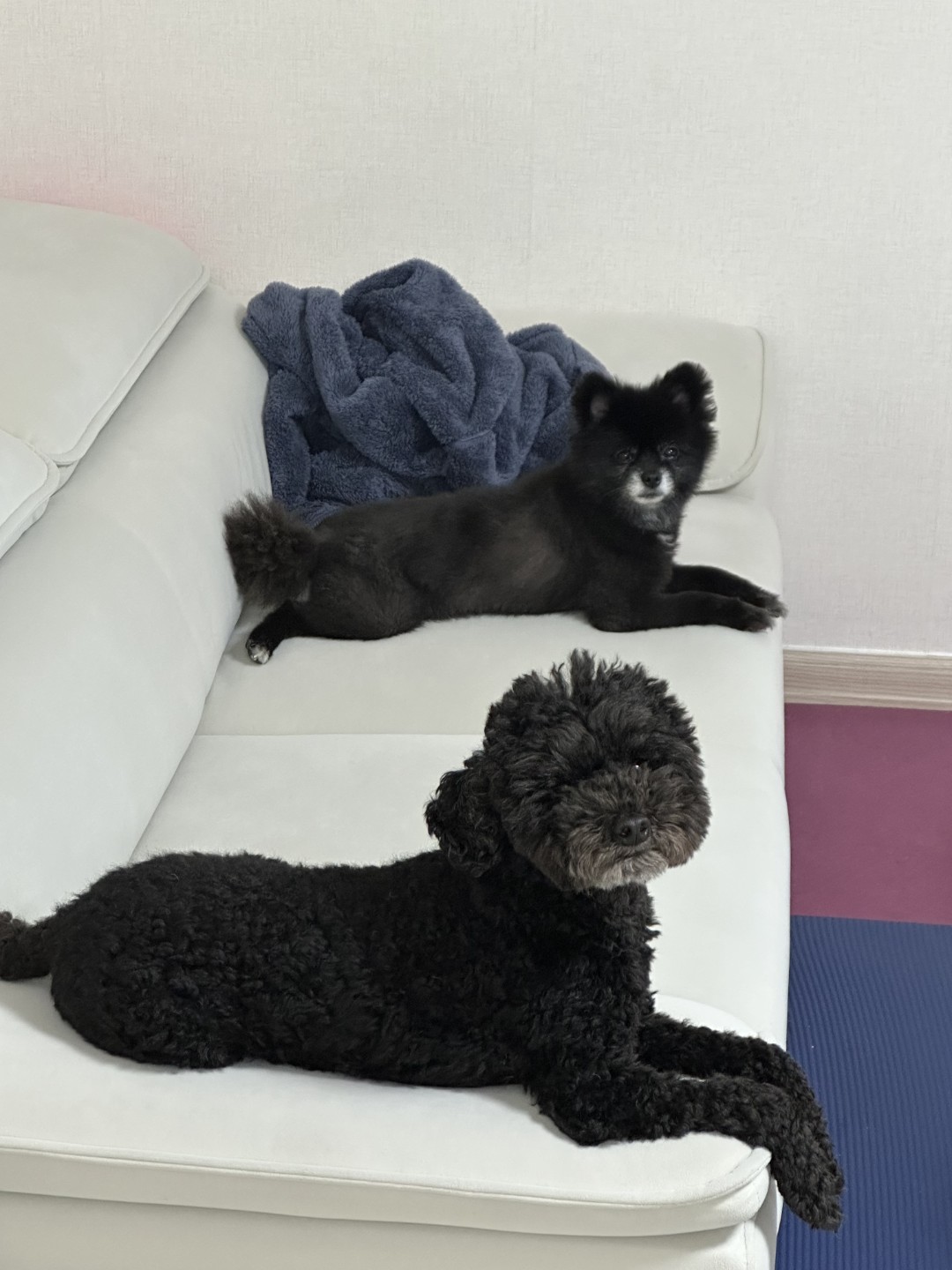 다들 새해 복 많이 받으세요~