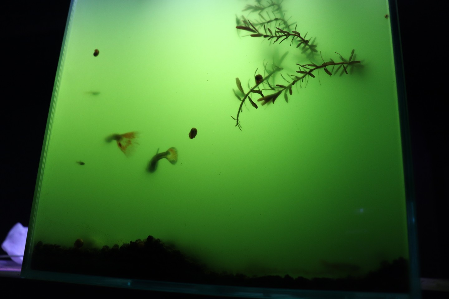 ㅜㅜ 어디서부터 잘못된걸까요