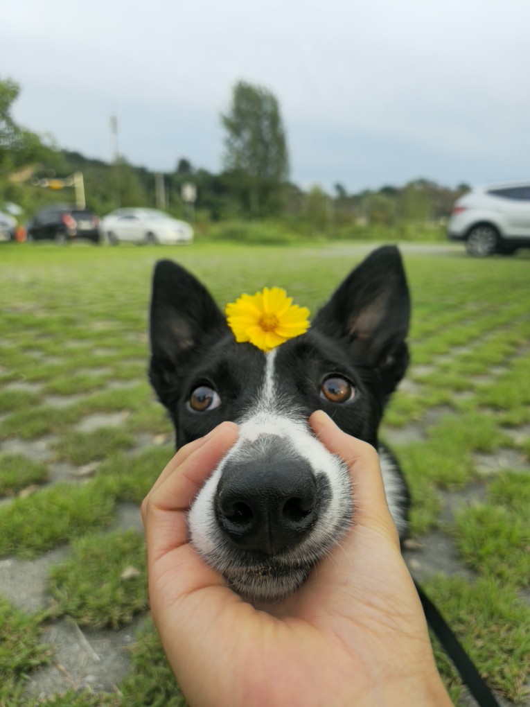 훈육과 학대의 차이는 무엇인가요?