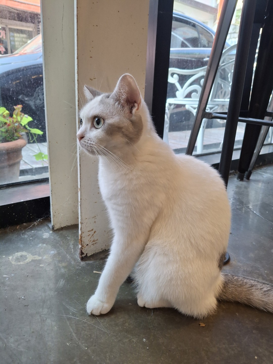 이뿌죠?사랑합니다