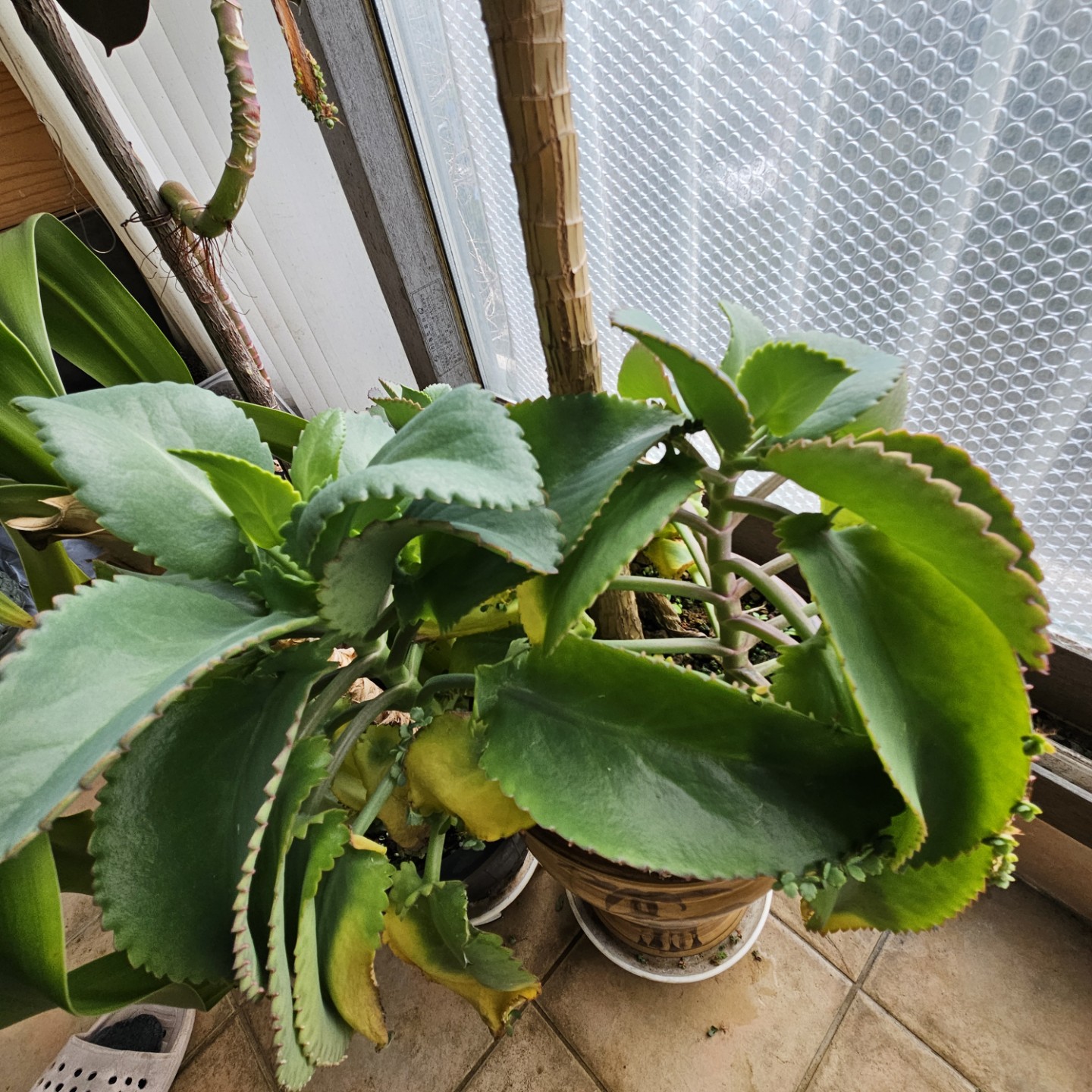 Post image 6