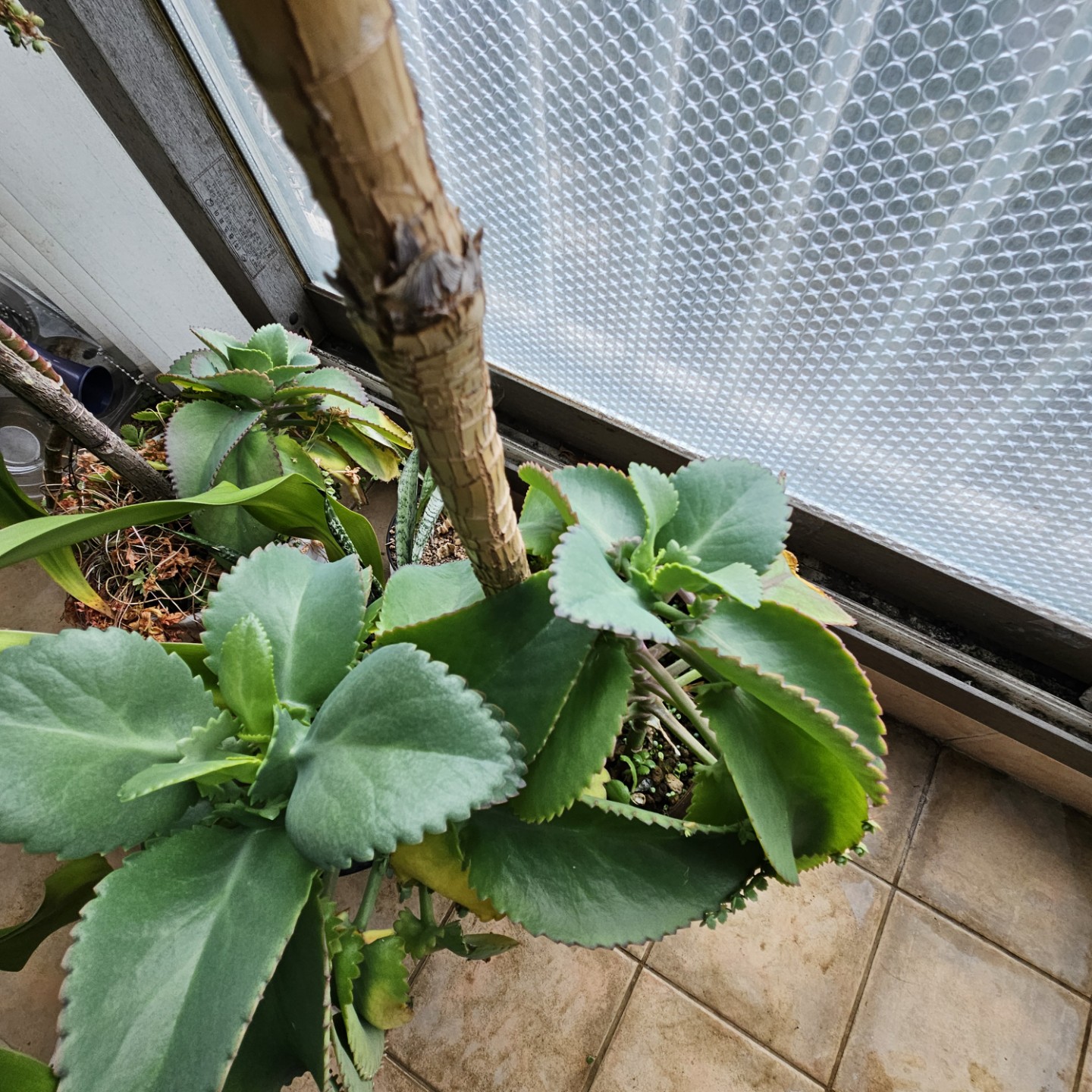 Post image 7
