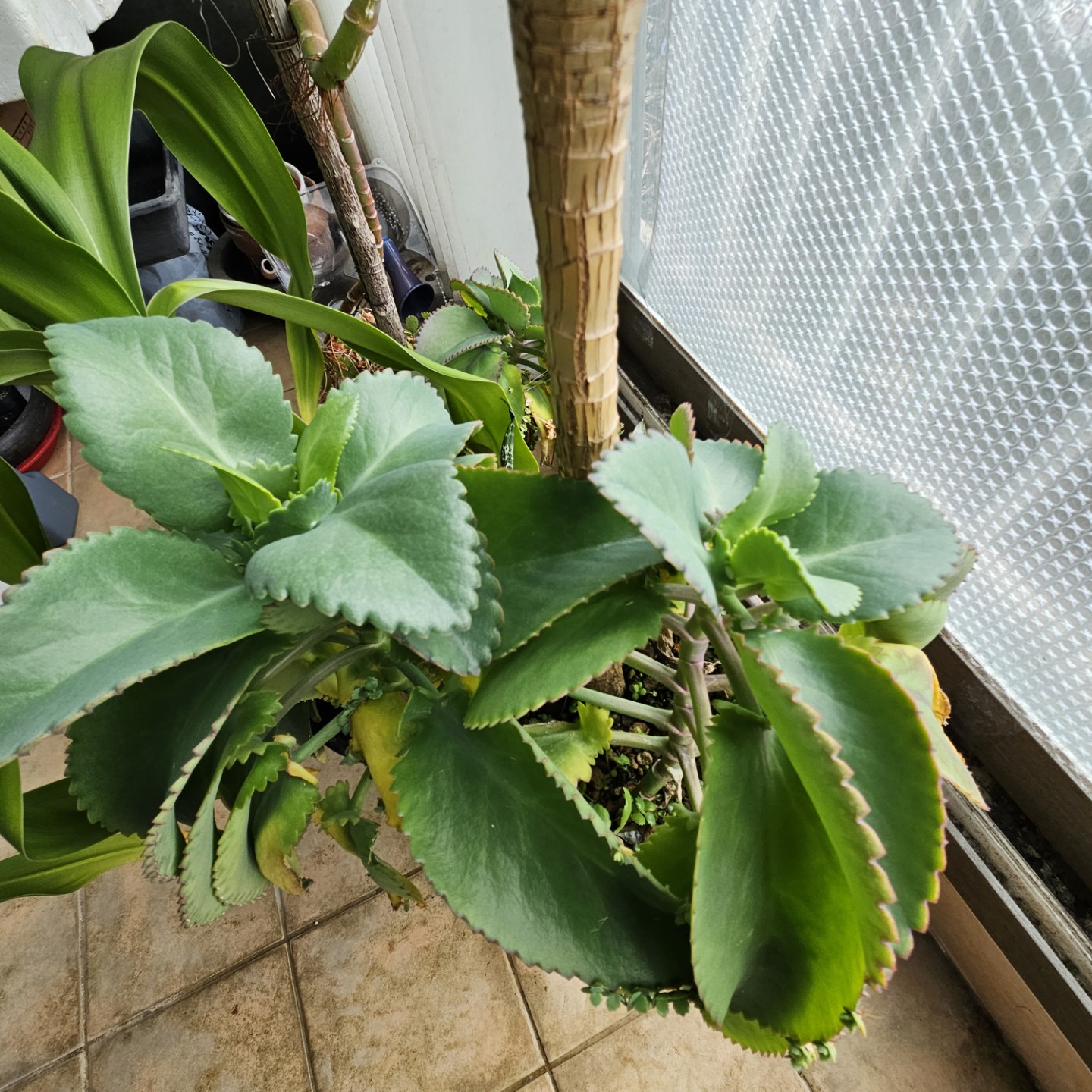 Post image 5