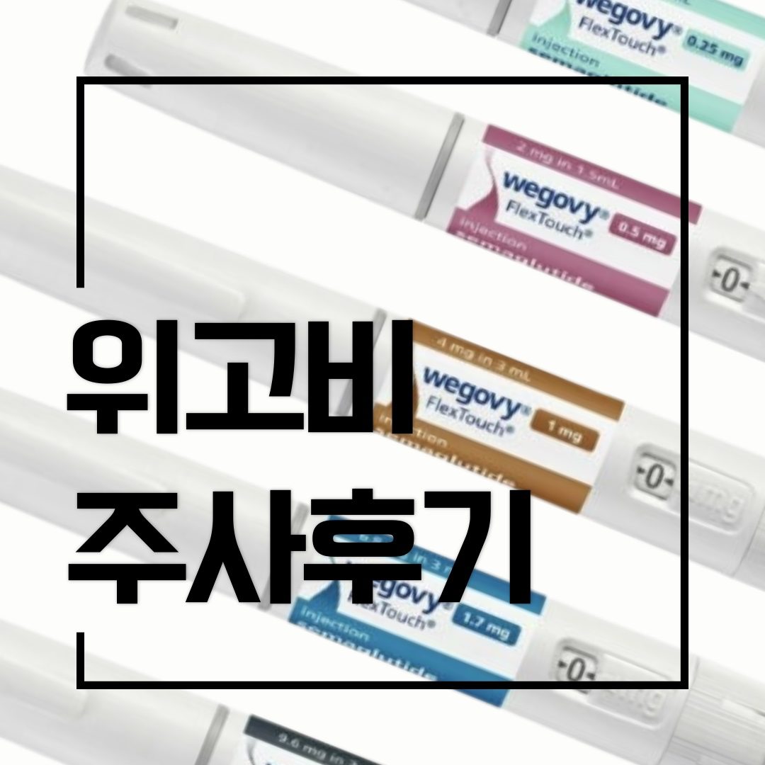 🐷위고비 1일차 솔직후기 (준비물,주사맞는법,아픔정도,식욕억제효과)