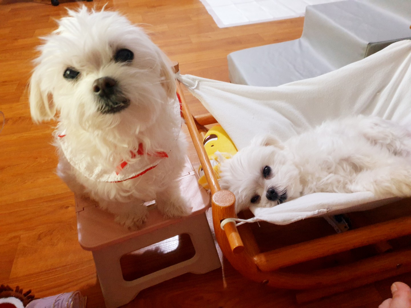 제옆에 항상 묵묵히 아무것도