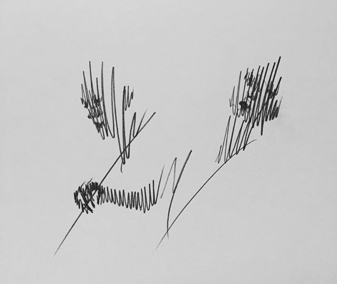Post image 9