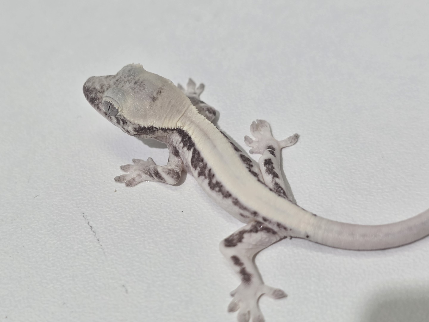 오늘, 우리 아이들 어떤가요?