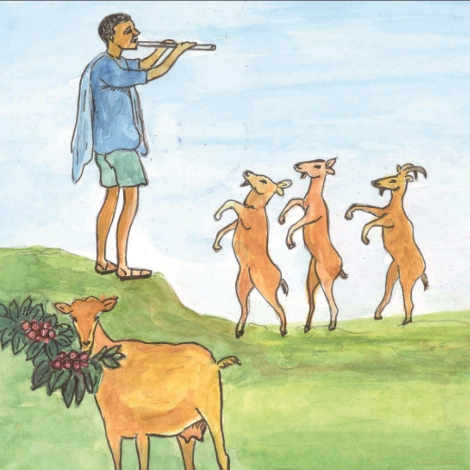 커피의 탄생 (설화 NO.1)