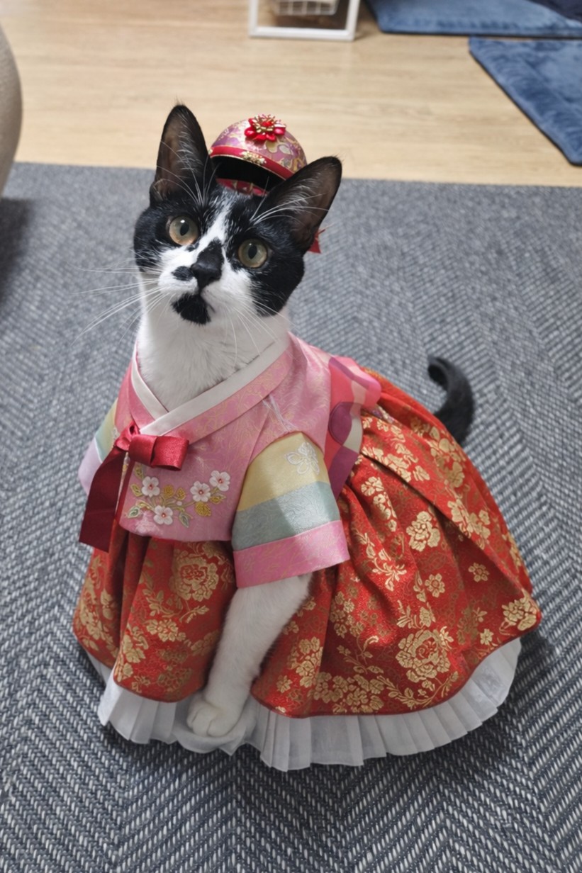 새해 복 많이 받으세요