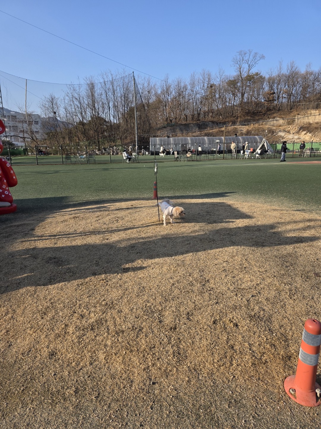 애견카페 추천!